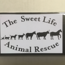 shelter logo