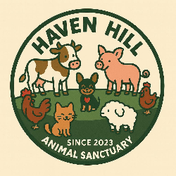 shelter logo