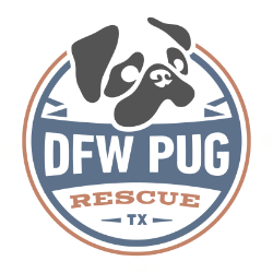 shelter logo