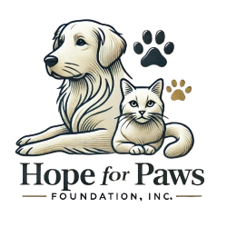 shelter logo