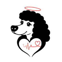 shelter logo