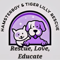 shelter logo