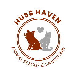 shelter logo