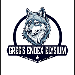 shelter logo