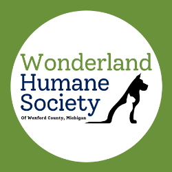 shelter logo