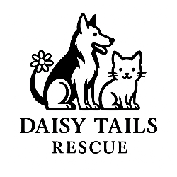 shelter logo