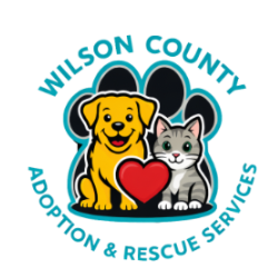 shelter logo