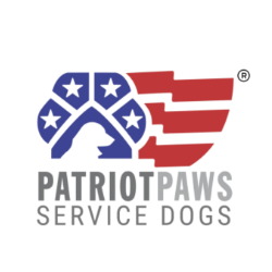 shelter logo