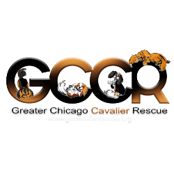 Greater Chicago Cavalier Rescue