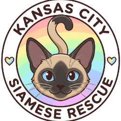 shelter logo