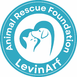 shelter logo
