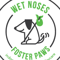 Wet Noses Foster Paws