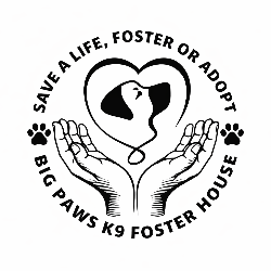 Big Paws K9 Foster House