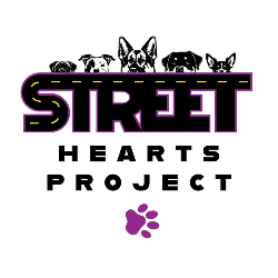 shelter logo