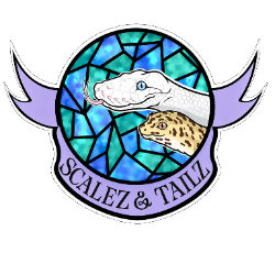 shelter logo