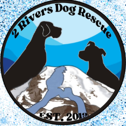 shelter logo