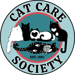 shelter logo
