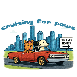 Cruisingforpawshtx