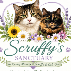 Scruffy's Sanctuary Inc.