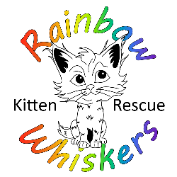 shelter logo