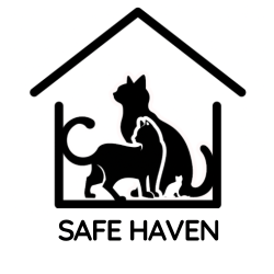 shelter logo