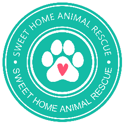 shelter logo