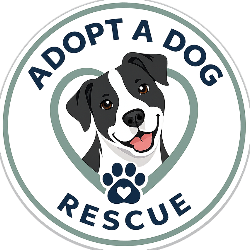 shelter logo
