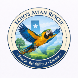 shelter logo