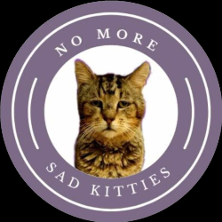 shelter logo