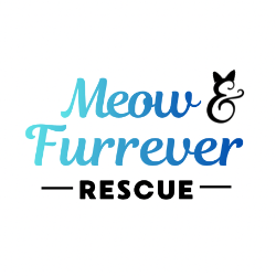 Meow & Furrrever Rescue