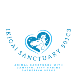 shelter logo