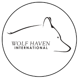 shelter logo