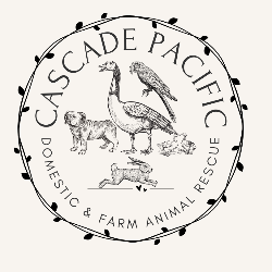 Cascade Pacific Rescue | Kelso, WA | Chewy