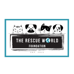 The Rescue World