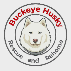 Buckeye Husky Rescue and Rehome Inc