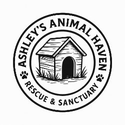 shelter logo