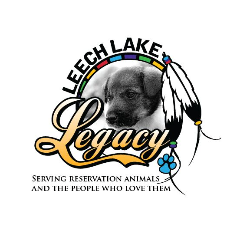 shelter logo