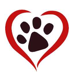 shelter logo