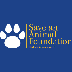 shelter logo