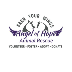 shelter logo