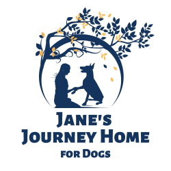 shelter logo
