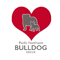 shelter logo