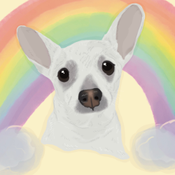 shelter logo