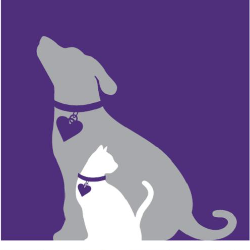 shelter logo
