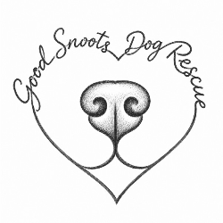 shelter logo