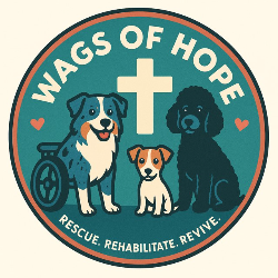 shelter logo