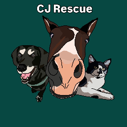 shelter logo