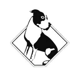 shelter logo