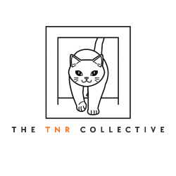 shelter logo