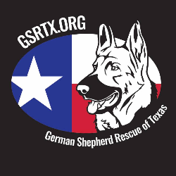 shelter logo